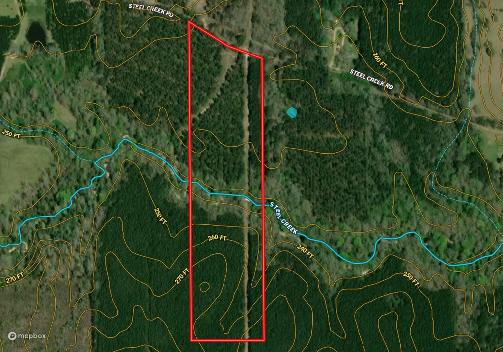 0 Steel Creek Road Georgetown, MS 39078 - Photo 16 of 19 Photo 16