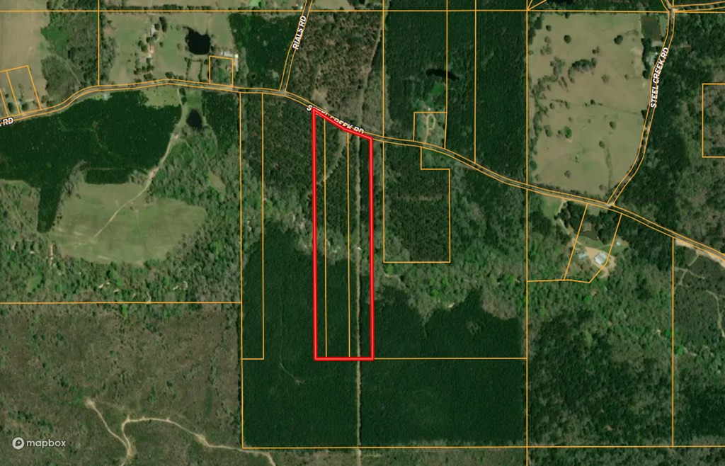 0 Steel Creek Road Georgetown, MS 39078 - Photo 18 of 19 Photo 18