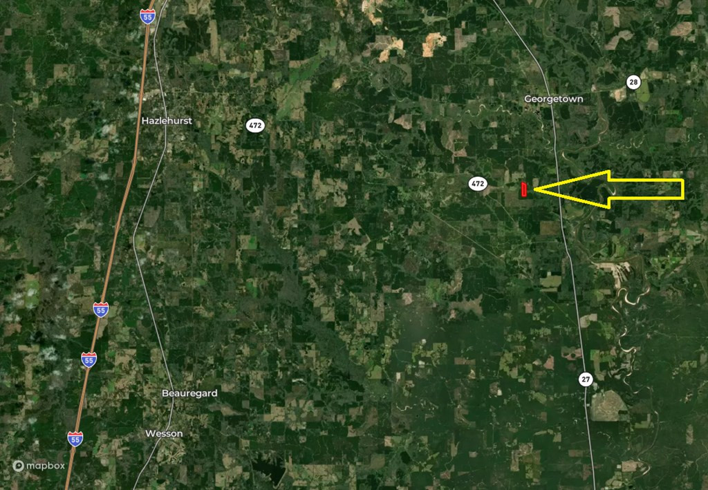 0 Steel Creek Road Georgetown, MS 39078 - Photo 19 of 19 Photo 19