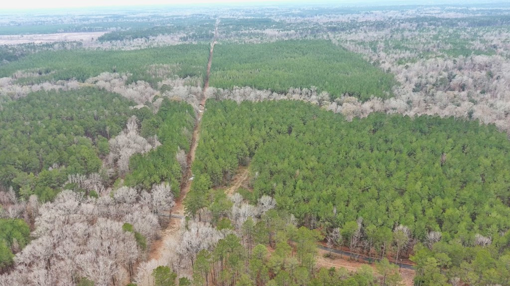 0 Steel Creek Road Georgetown, MS 39078 - Photo 2 of 19 Photo 2
