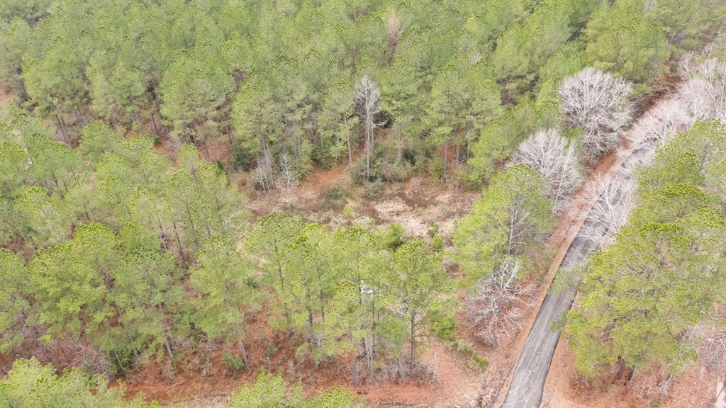 0 Steel Creek Road Georgetown, MS 39078 - Photo 3 of 19 Photo 3