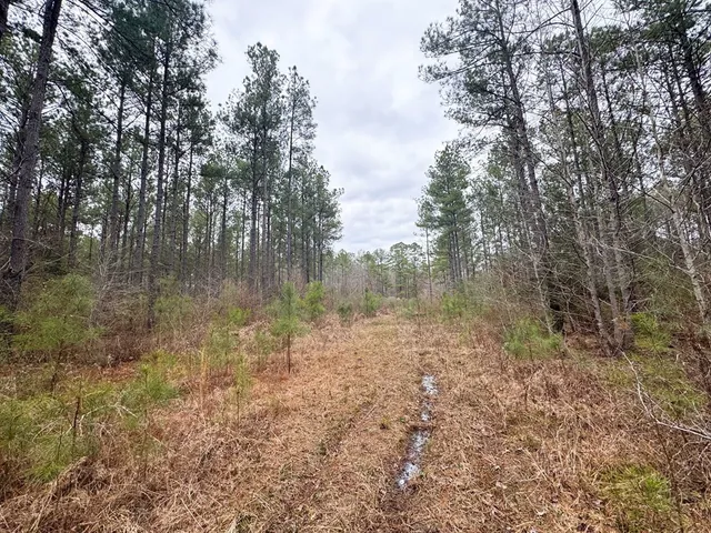 $93,600 | 0 Steel Creek Road, Georgetown, MS 39078