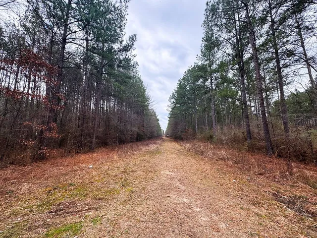 $93,600 | 0 Steel Creek Road, Georgetown, MS 39078
