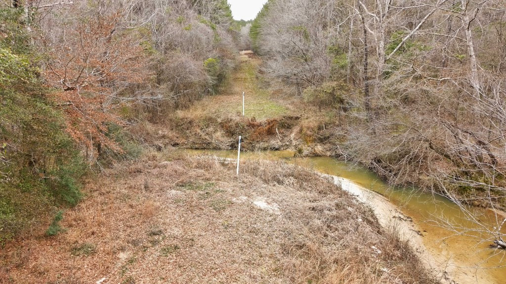 0 Steel Creek Road Georgetown, MS 39078 - Photo 9 of 19 Photo 9