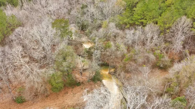 $93,600 | 0 Steel Creek Road, Georgetown, MS 39078