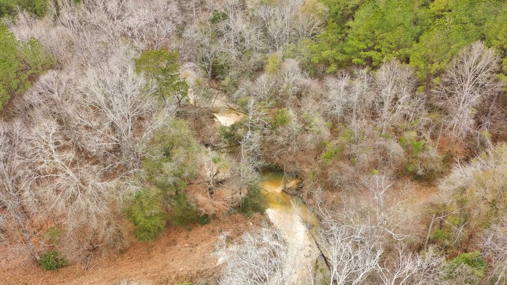 0 Steel Creek Road Georgetown, MS 39078 - Photo 10 of 19 Photo 10