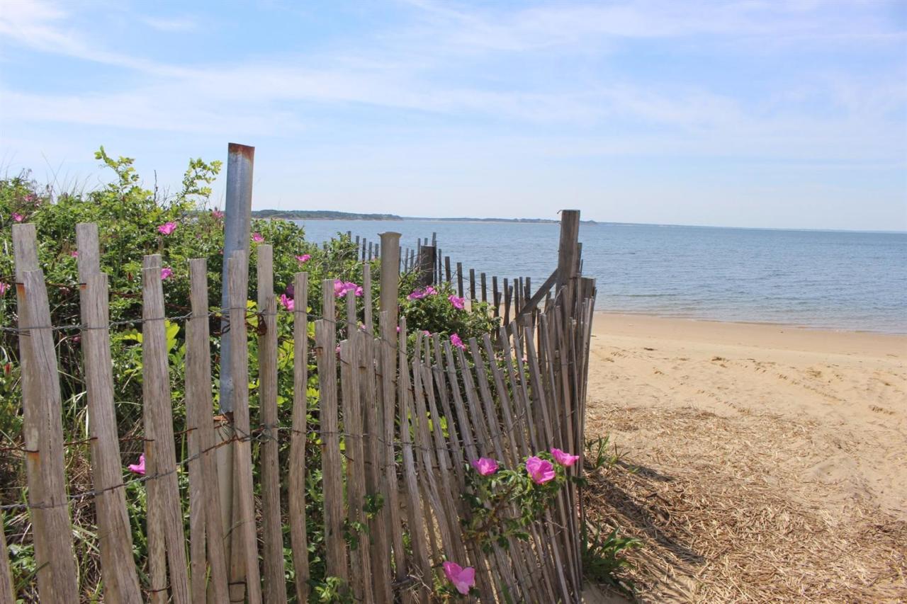 50 Indian Walk Road Wellfleet, MA 02667 - Photo 18 of 21 a view of a flower garden in front of a house