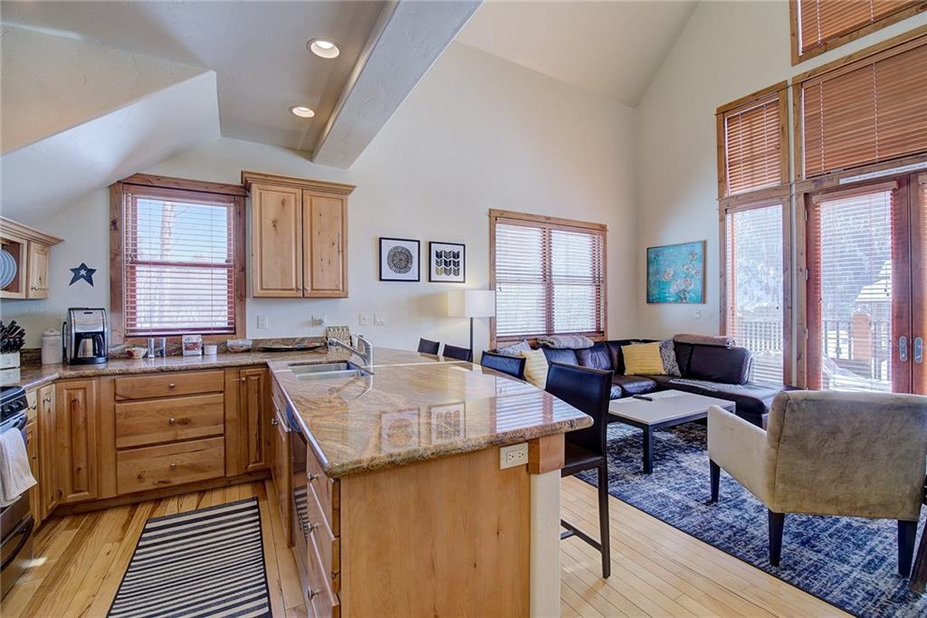 65 Antlers Gulch Road, Unit 505 Keystone, CO 80435 - Photo 2 of 18 Gallery Image 2