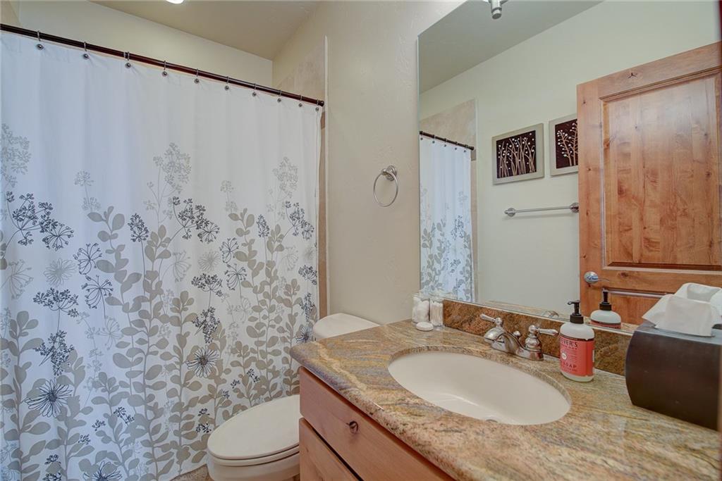 65 Antlers Gulch Road, Unit 505 Keystone, CO 80435 - Photo 10 of 18 Gallery Image 10