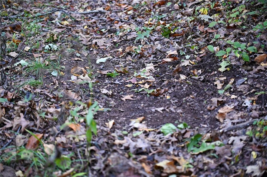 0 East 2124 Road Stockton, MO 65785 - Photo 13 of 40