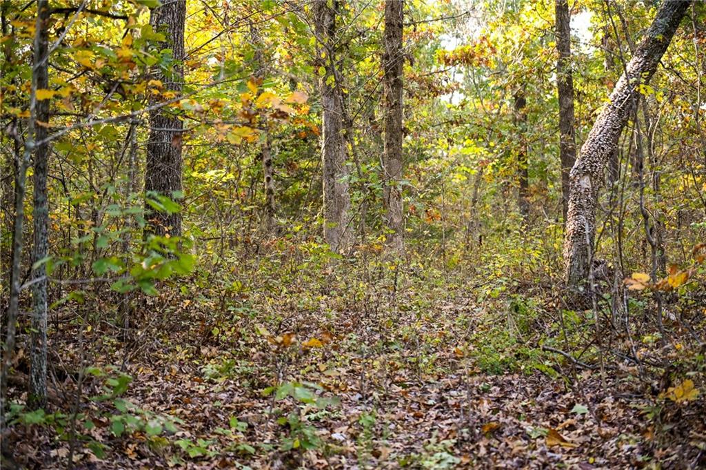 0 East 2124 Road Stockton, MO 65785 - Photo 22 of 40