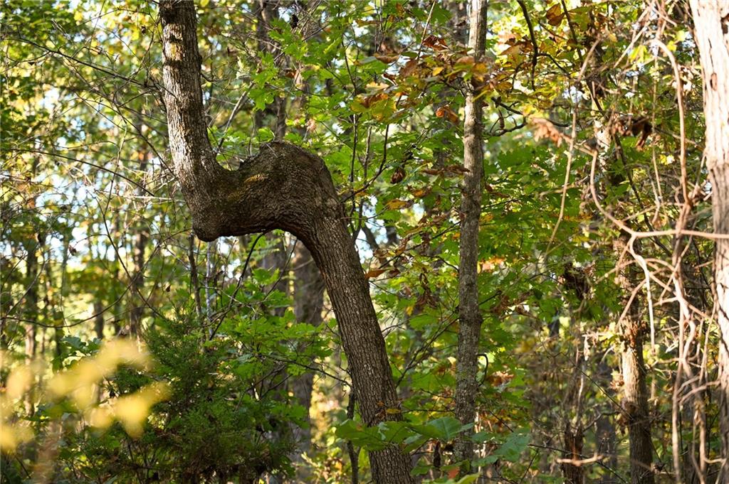 0 East 2124 Road Stockton, MO 65785 - Photo 23 of 40