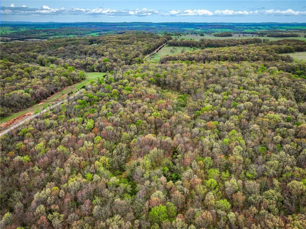 0 East 2124 Road Stockton, MO 65785 - Photo 27 of 40