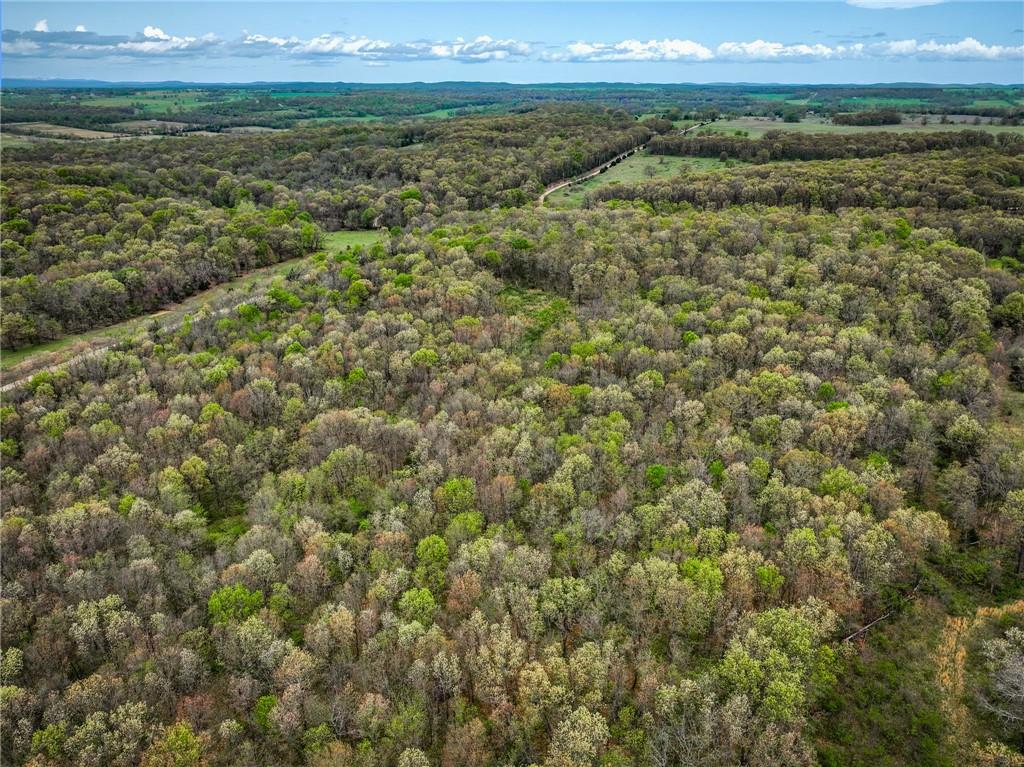 0 East 2124 Road Stockton, MO 65785 - Photo 28 of 40