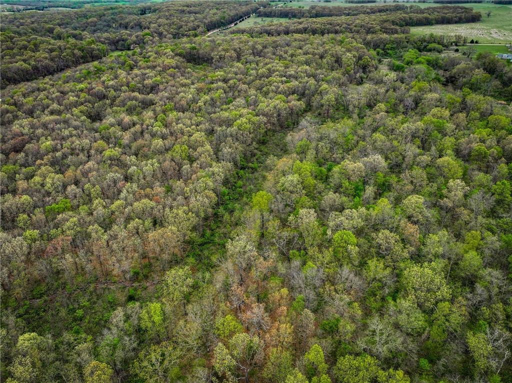 0 East 2124 Road Stockton, MO 65785 - Photo 29 of 40