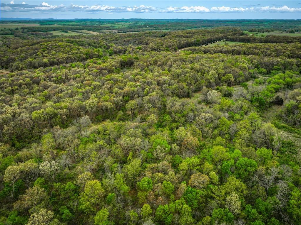 0 East 2124 Road Stockton, MO 65785 - Photo 30 of 40