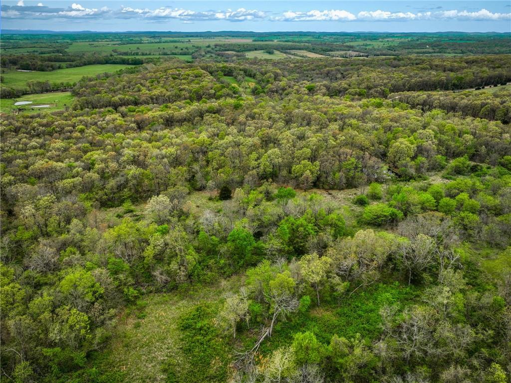 0 East 2124 Road Stockton, MO 65785 - Photo 32 of 40