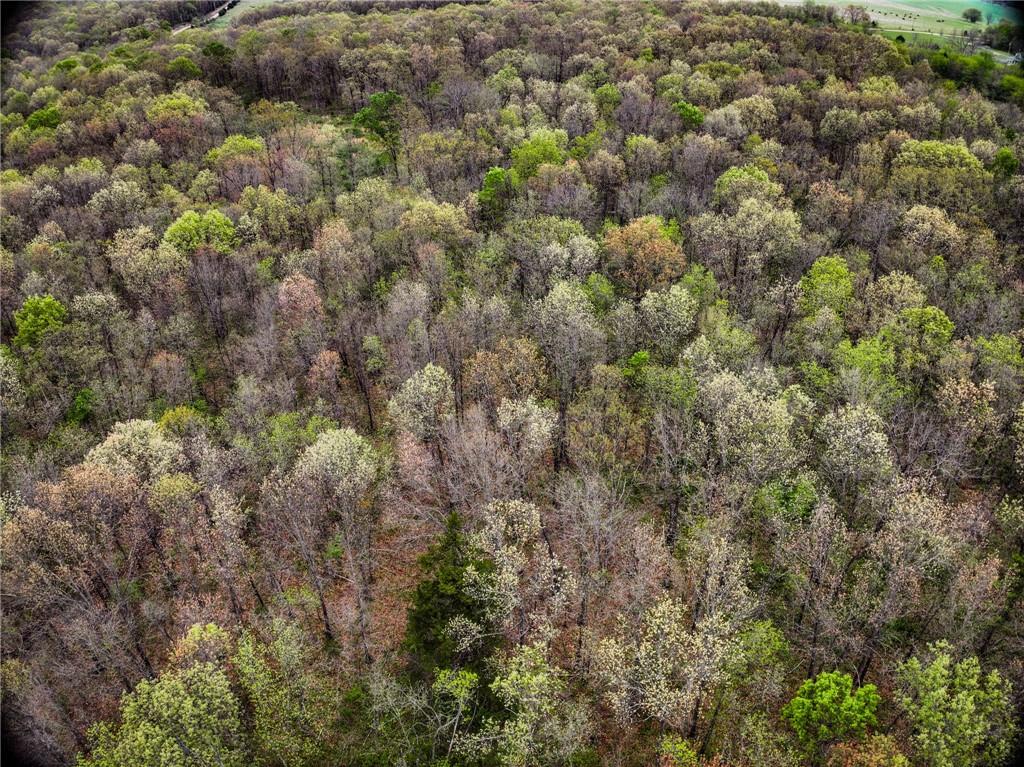 0 East 2124 Road Stockton, MO 65785 - Photo 33 of 40