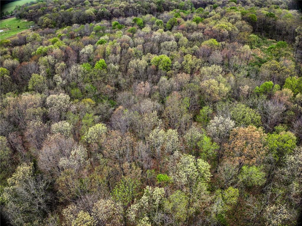 0 East 2124 Road Stockton, MO 65785 - Photo 34 of 40