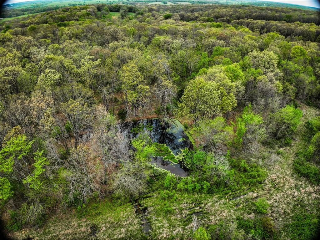 0 East 2124 Road Stockton, MO 65785 - Photo 35 of 40