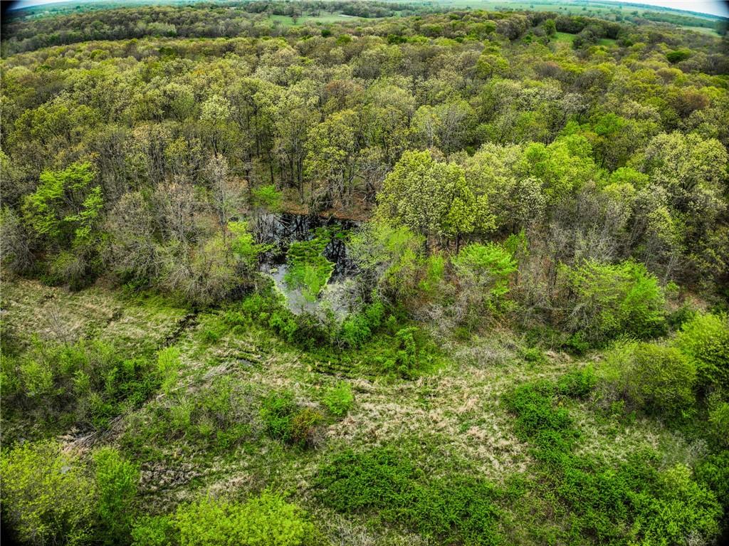 0 East 2124 Road Stockton, MO 65785 - Photo 36 of 40