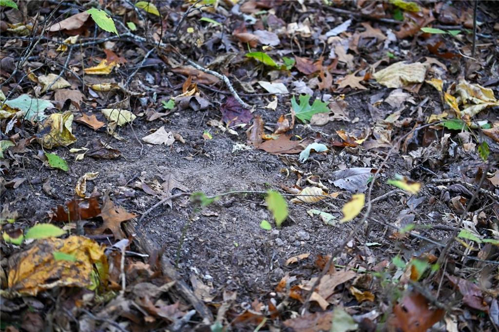 0 East 2124 Road Stockton, MO 65785 - Photo 9 of 40