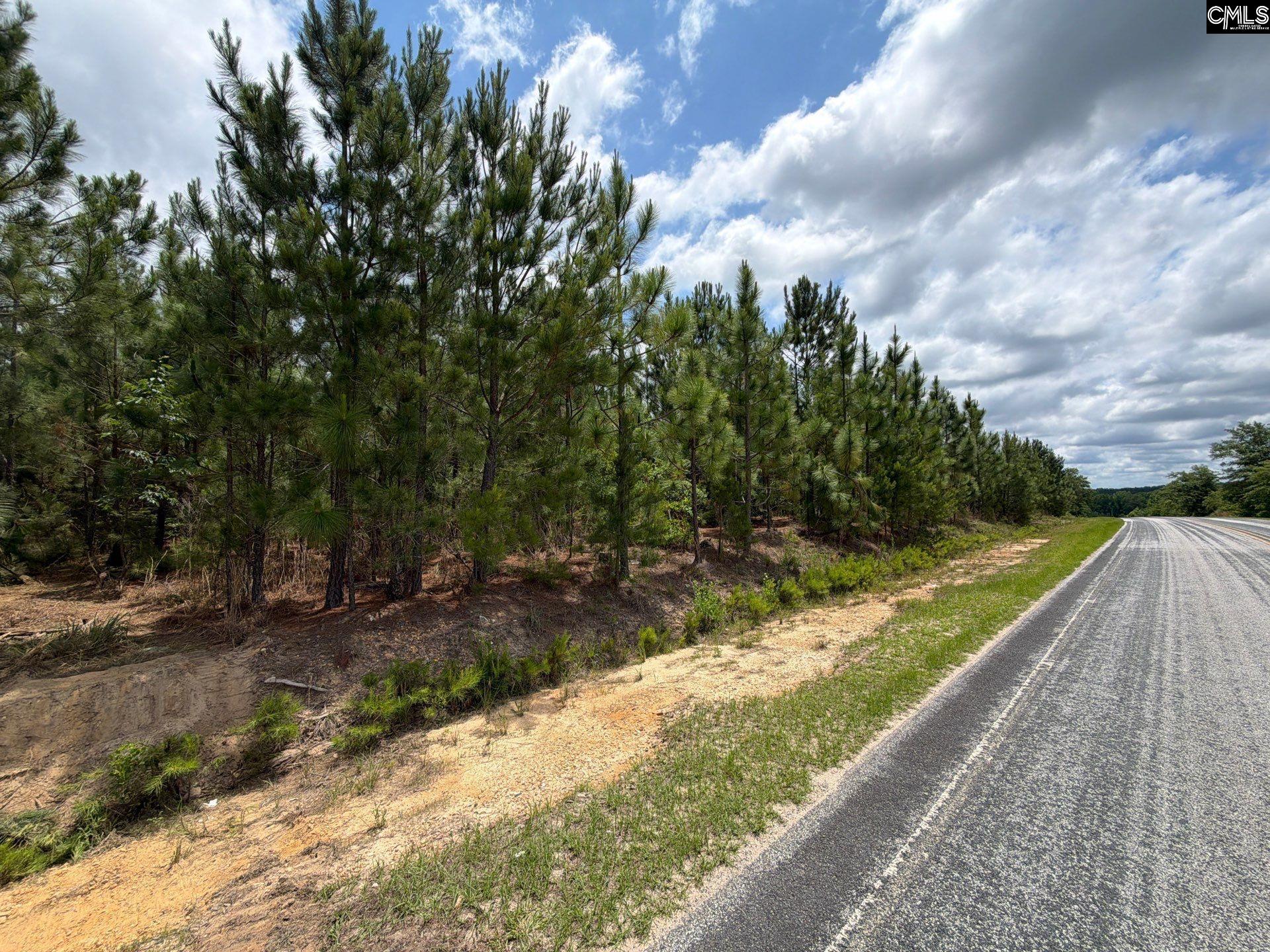 5 State Rd S-28-31 Road Cheraw, SC 29520 - Photo 2 of 7 Gallery Image 2
