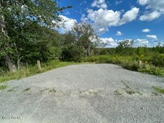 Lot D Spruce Lake Road Thompson, PA 18465 - Photo 17 of 19