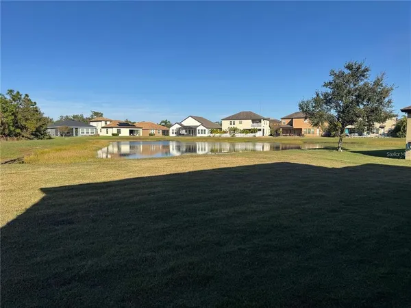 a view of a yard