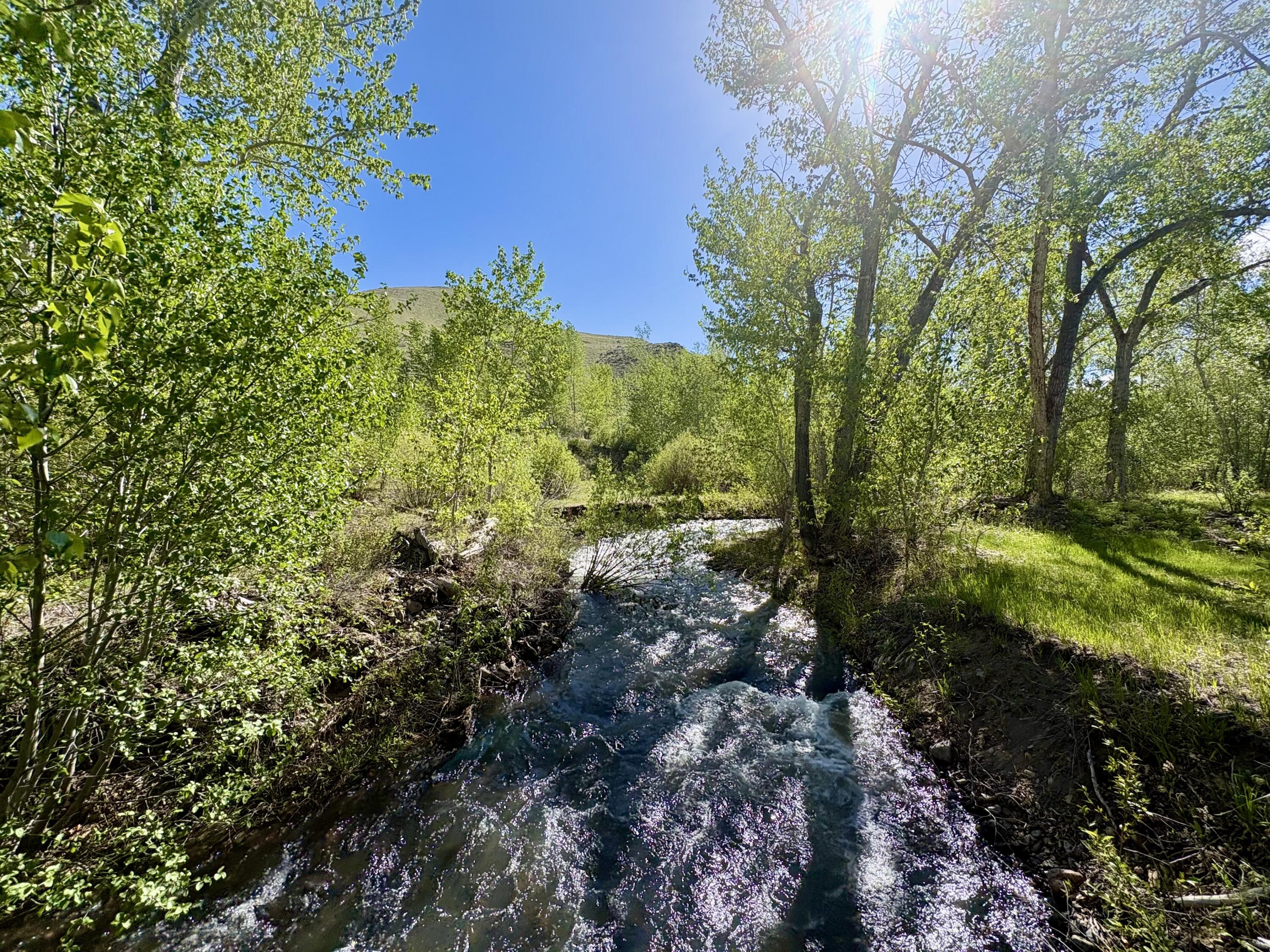 9885 Challis Creek Road Challis, ID 83226 - Photo 53 of 61 9885 Challis Creek Rd, Challis