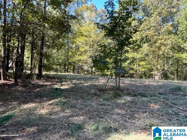 0 Paradise Point Drive Columbiana, AL 35051 - Photo 16 of 23