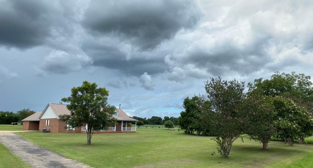 1599 Baxter Road Ashford, AL 36312 - Photo 3 of 53