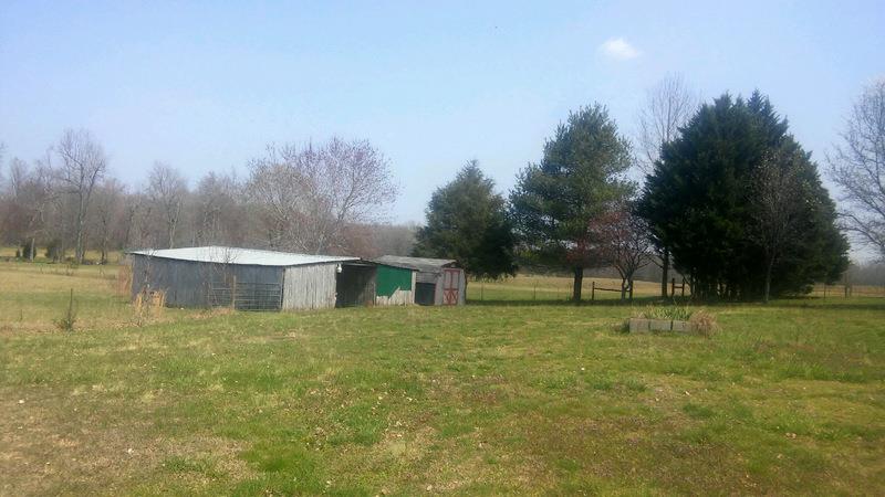 52 Stewarts Chapel Road Flintville, TN 37335 - Photo 5 of 21 Gallery Image 5