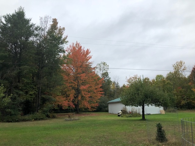 5702 Richardson Road Pinconning, MI 48650 - Photo 26 of 33 Gallery Image 26