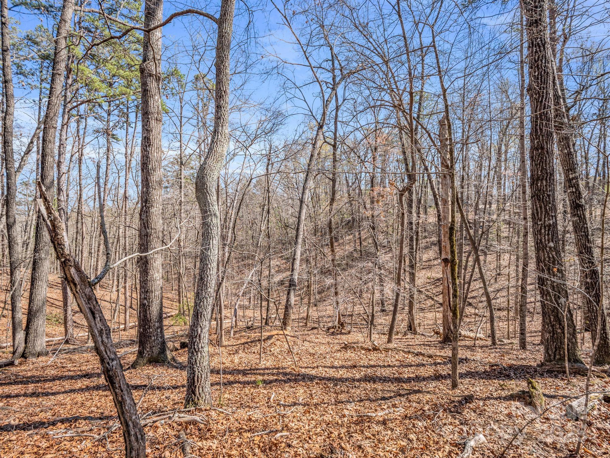 0 Forester Lane, Unit 25 Mill Spring, NC 28756 - Photo 11 of 19 a backyard of a house with lots of green space