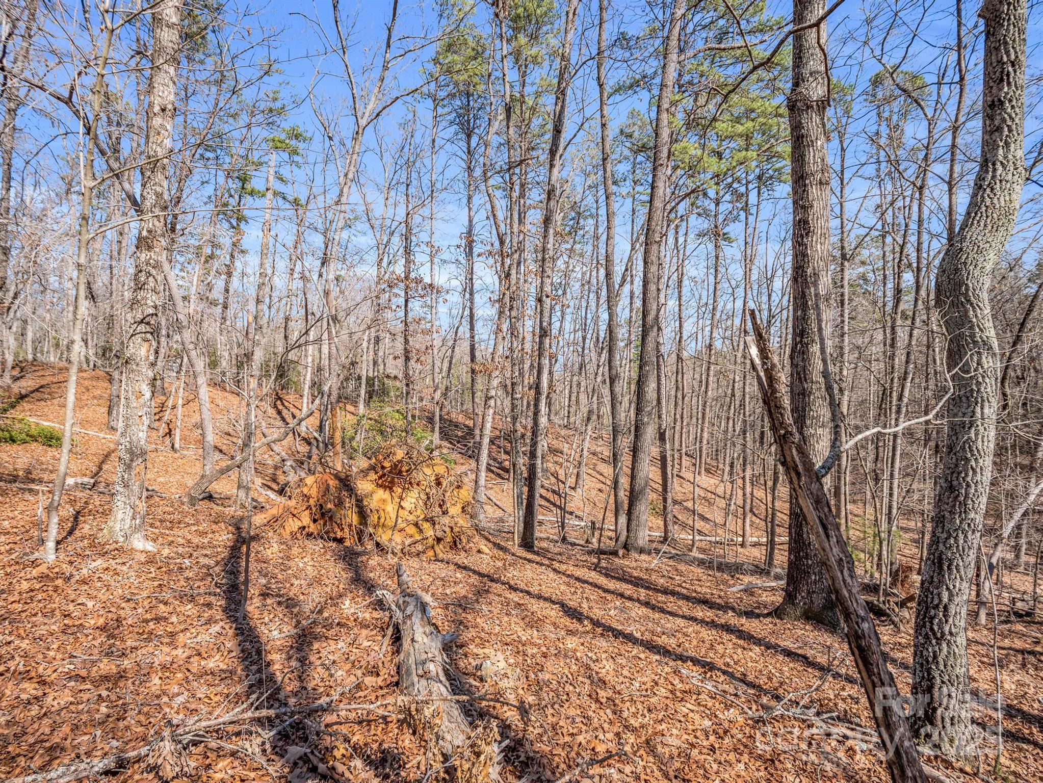 0 Forester Lane, Unit 25 Mill Spring, NC 28756 - Photo 12 of 19 a view of backyard with wooden fence and large trees