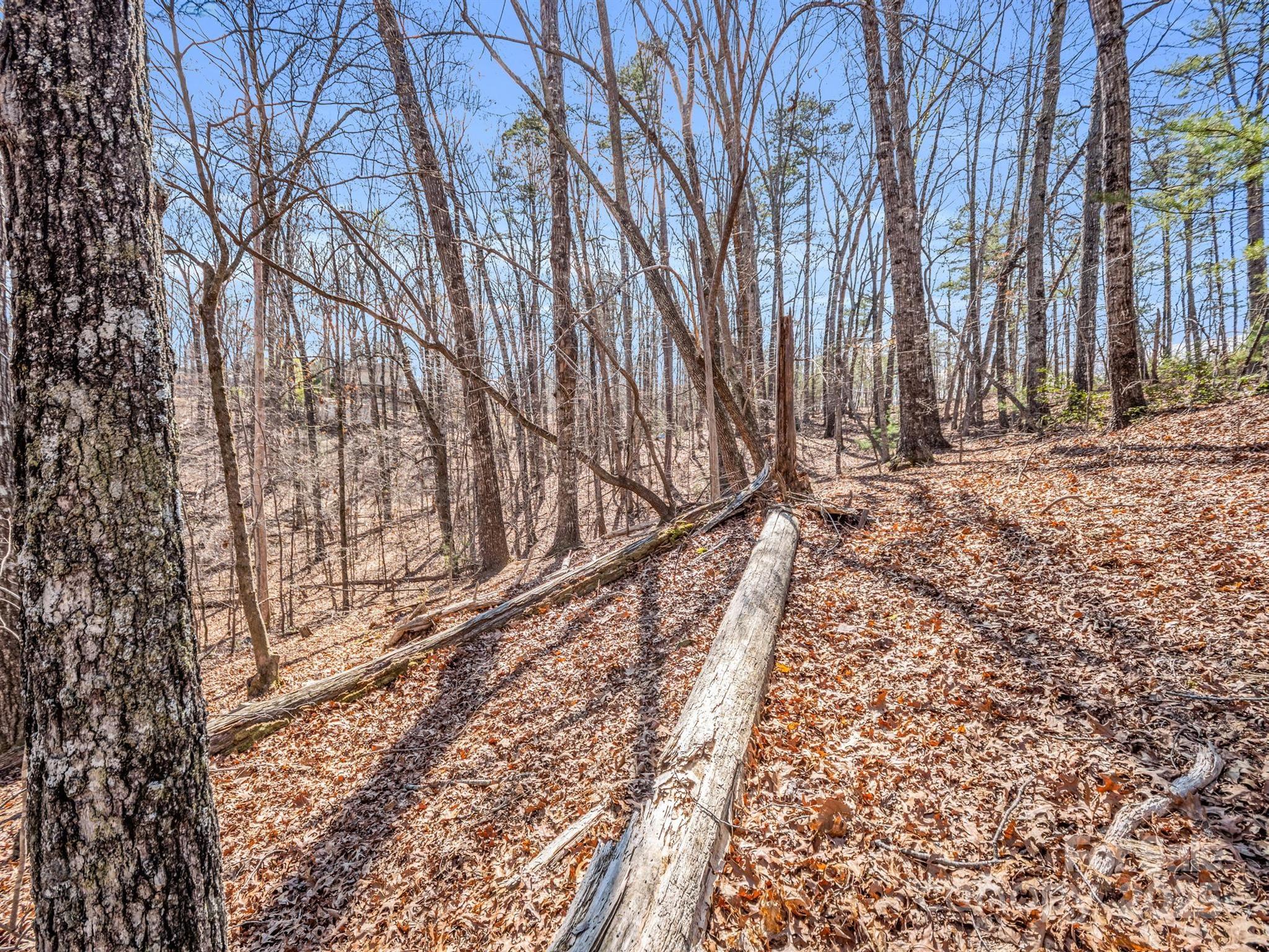 0 Forester Lane, Unit 25 Mill Spring, NC 28756 - Photo 13 of 19 a backyard of a house with lots of green space