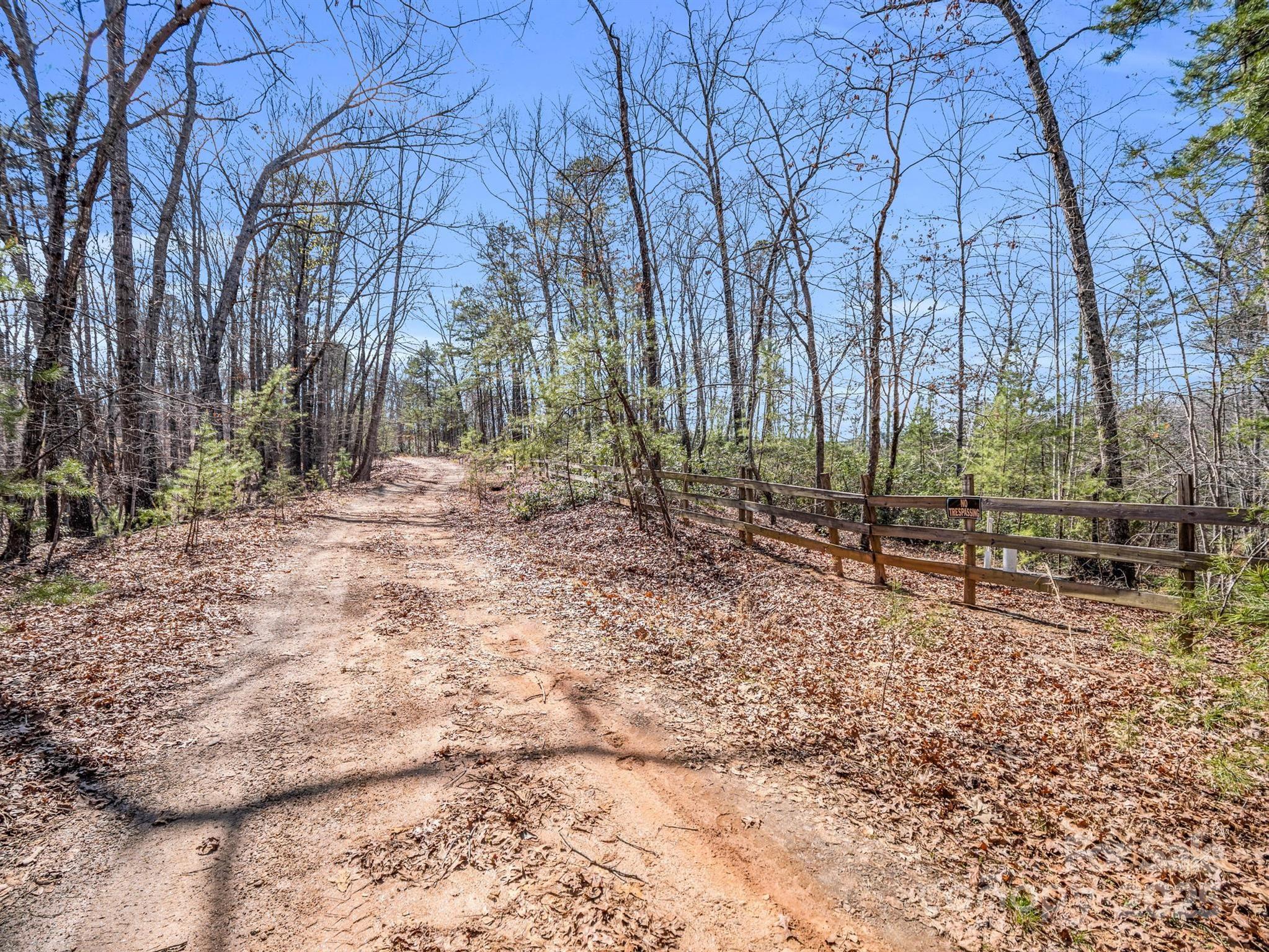 0 Forester Lane, Unit 25 Mill Spring, NC 28756 - Photo 15 of 19 a backyard of a house with lots of green space