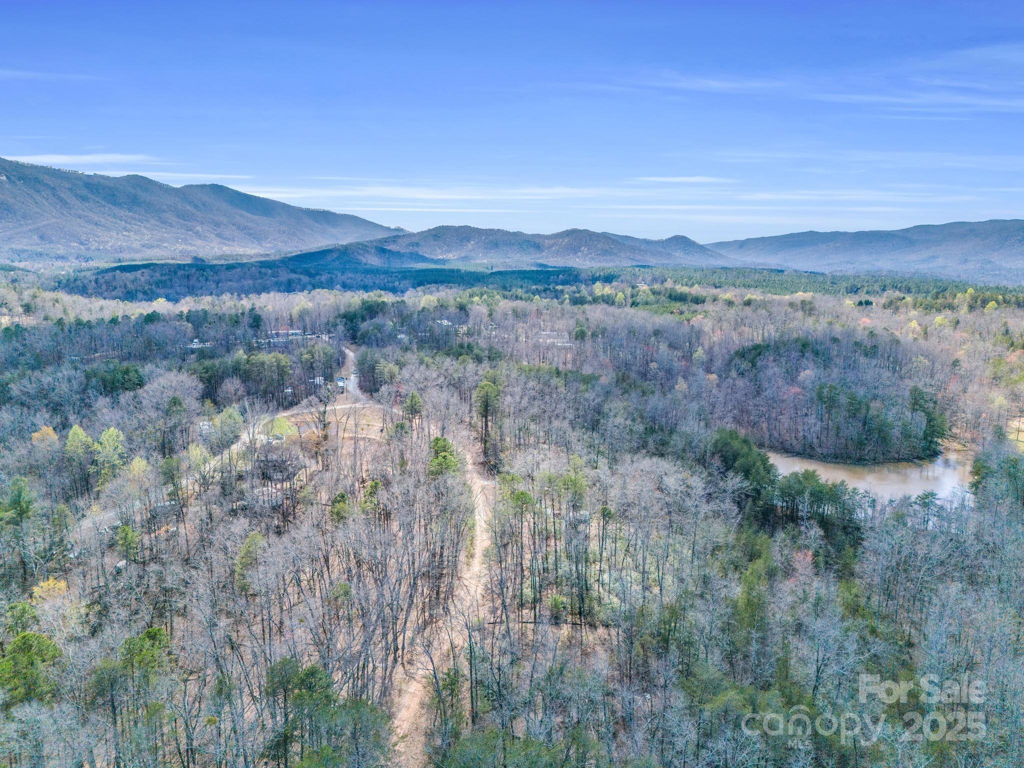 0 Forester Lane, Unit 25 Mill Spring, NC 28756 - Photo 16 of 19 a view of a city with lush green forest