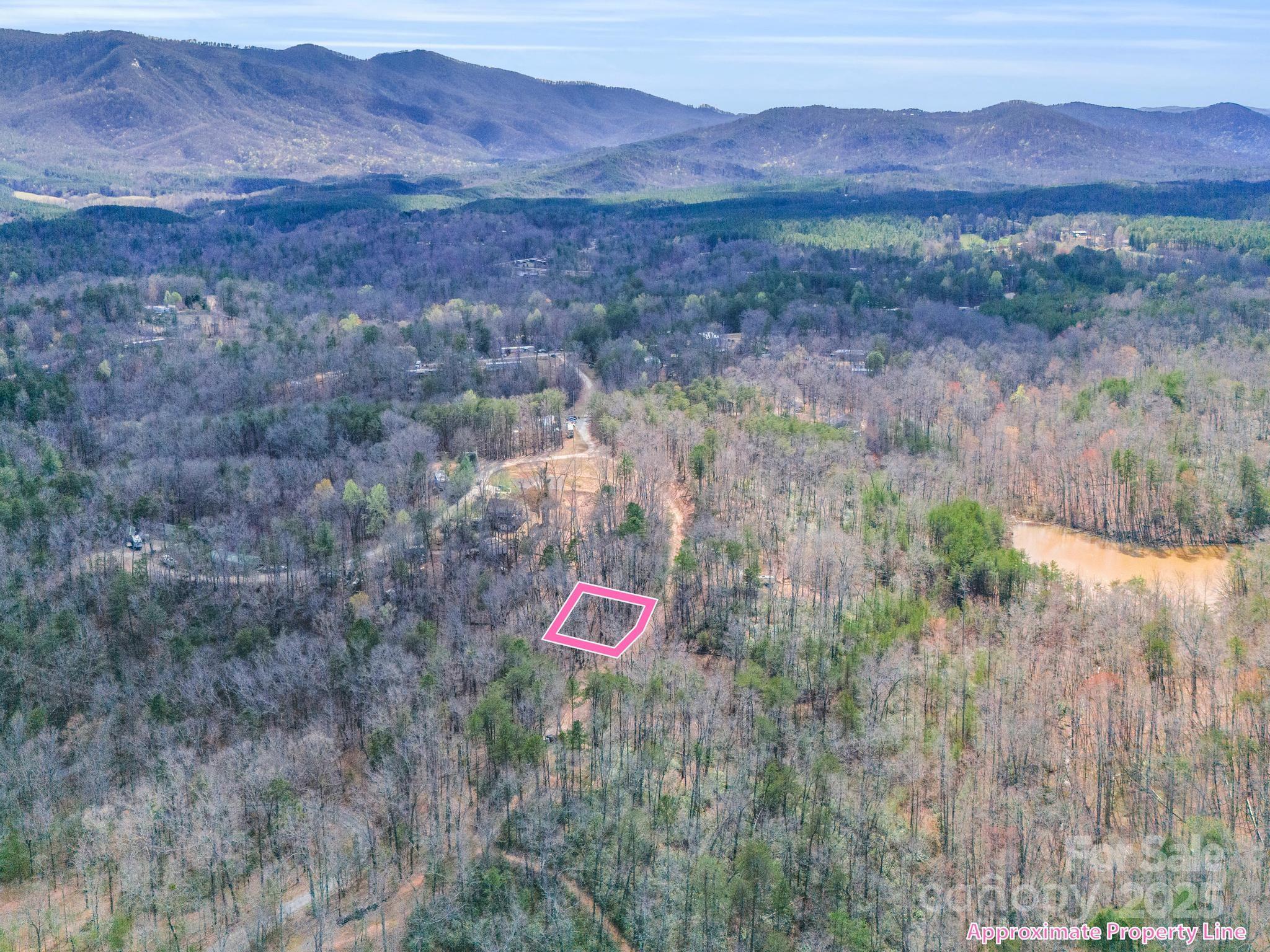 0 Forester Lane, Unit 25 Mill Spring, NC 28756 - Photo 4 of 19