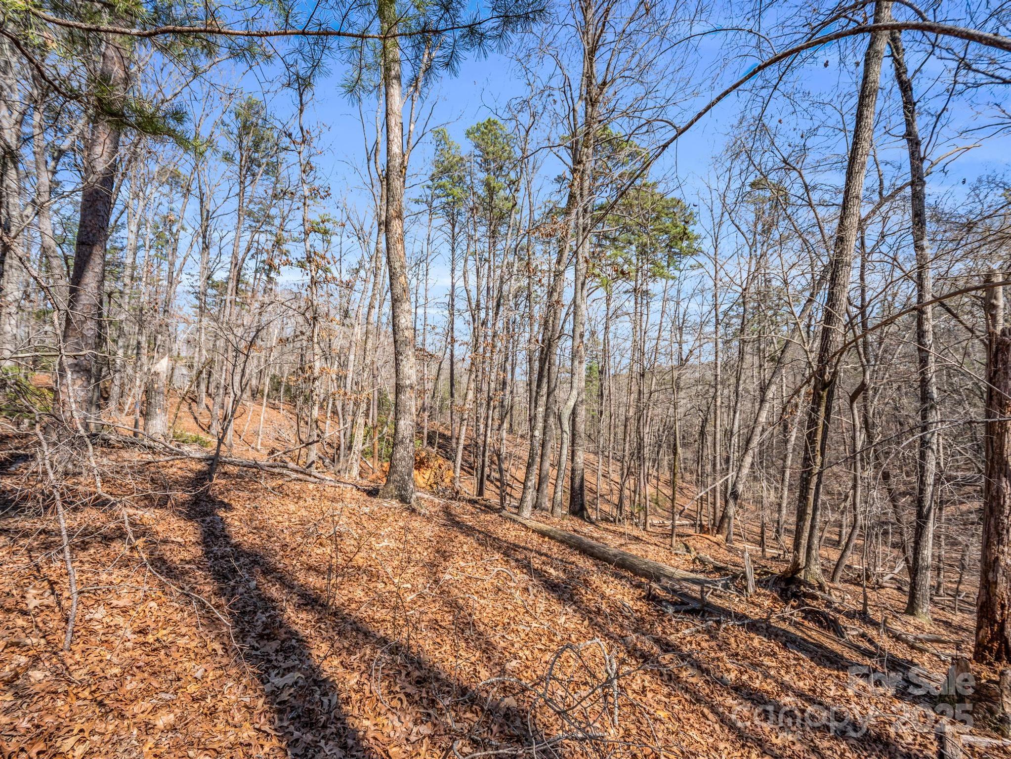 0 Forester Lane, Unit 25 Mill Spring, NC 28756 - Photo 8 of 19 a view of a backyard of the house