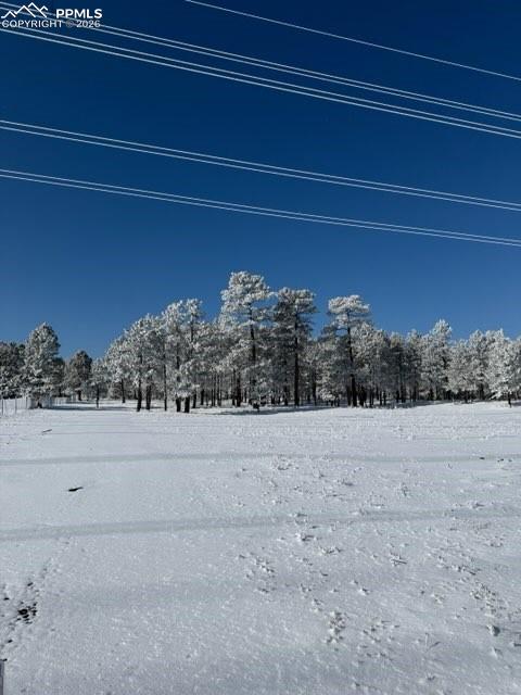 12196 Goodson Road Colorado Springs, CO 80908 - Photo 3 of 6
