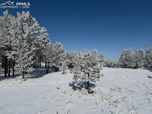 12196 Goodson Road Colorado Springs, CO 80908 - Photo 5 of 6