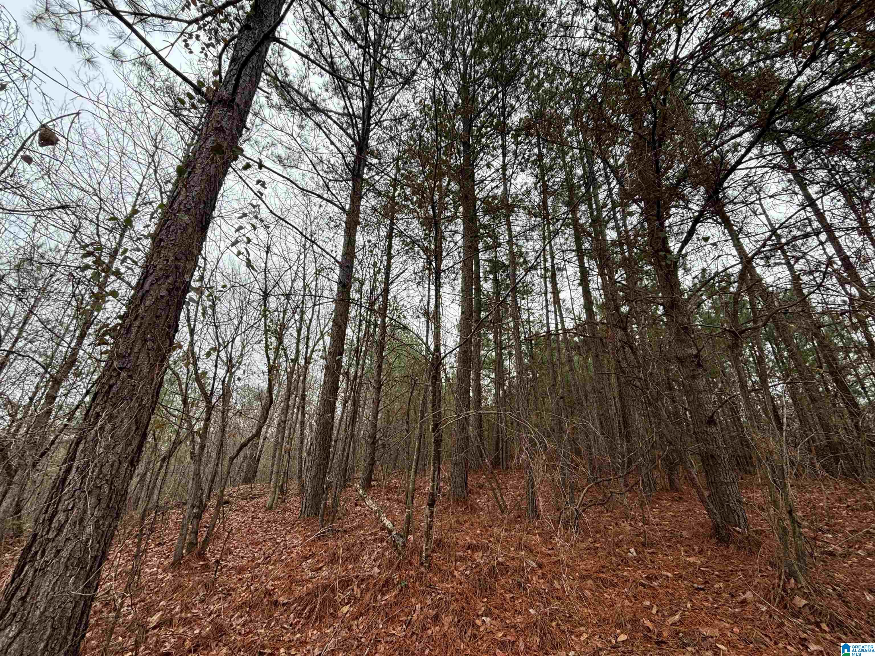 7380 Narrows Road, Unit 148 / ACRES Pinson, AL 35126 - Photo 20 of 22