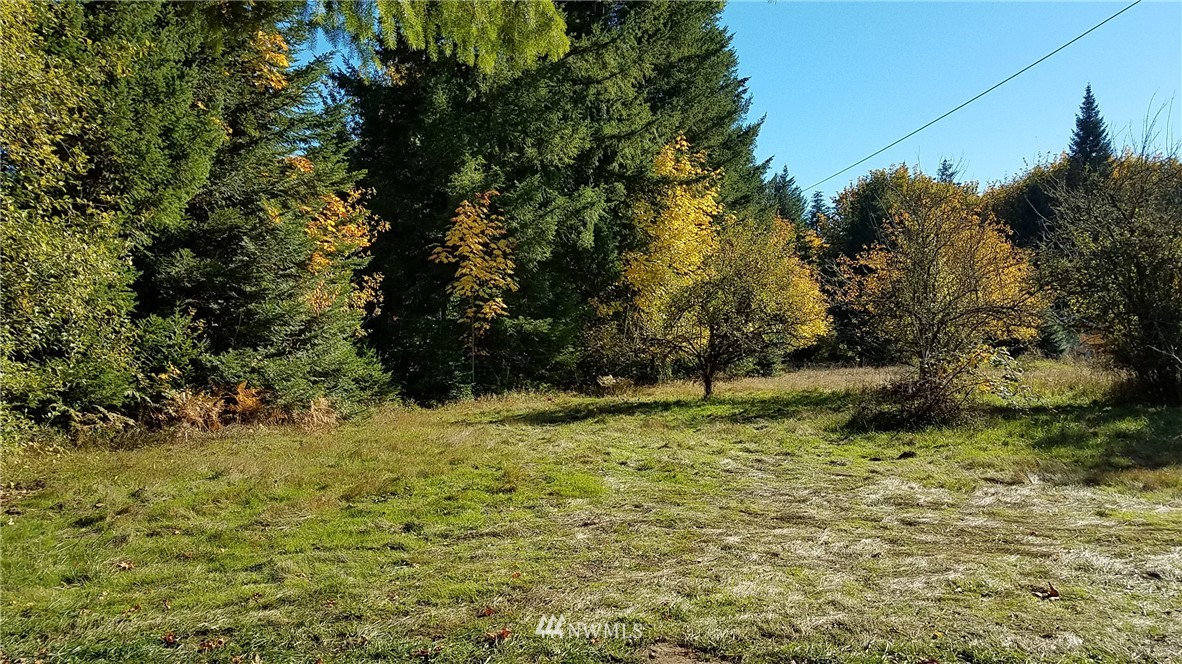 3723 Delphi Road Southwest Olympia, WA 98512 - Photo 16 of 18 Gallery Image 16