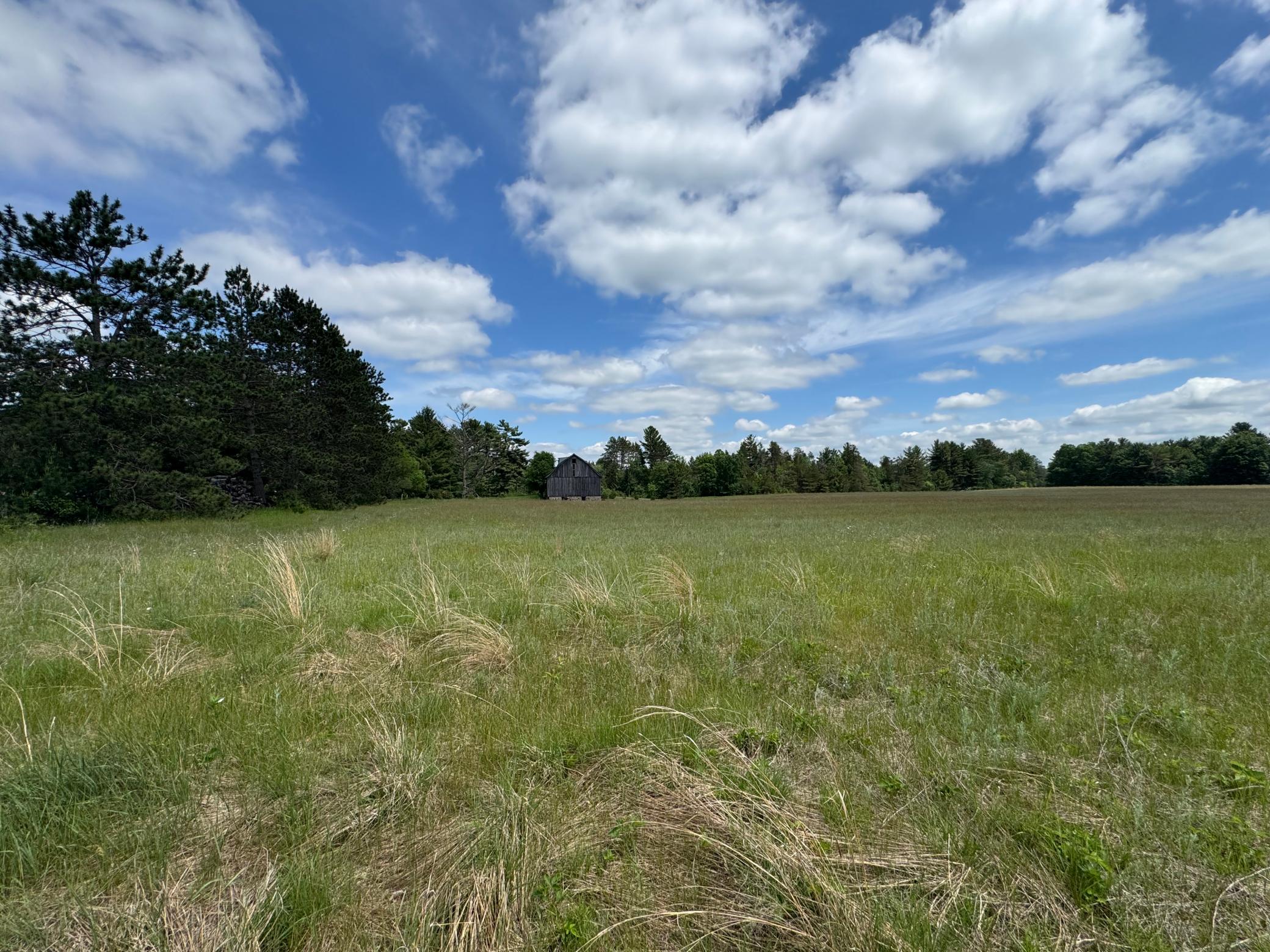 6398 Fred Tripp Road Springbrook, WI 54875 - Photo 7 of 30