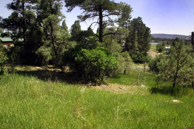 a view of lake background with house in background