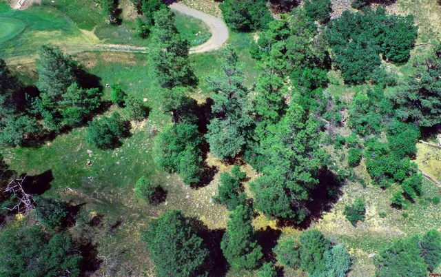 an aerial view of a house with a yard and outdoor space