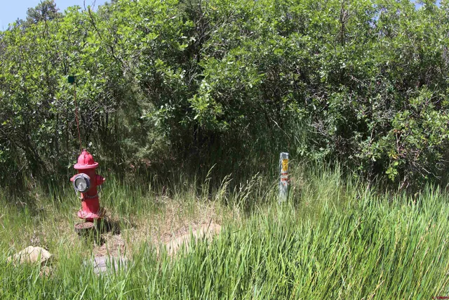 $100,000 | 344-360 Caddy Circle, Pagosa Springs, CO 81147