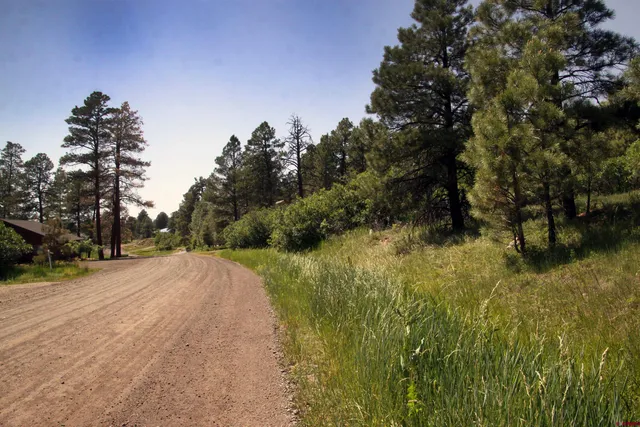 $100,000 | 344-360 Caddy Circle, Pagosa Springs, CO 81147